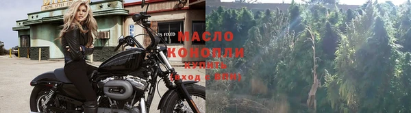 индика Михайлов