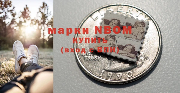 индика Михайлов