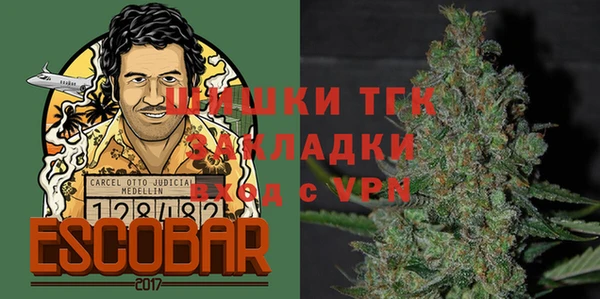 индика Михайлов