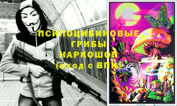индика Михайлов