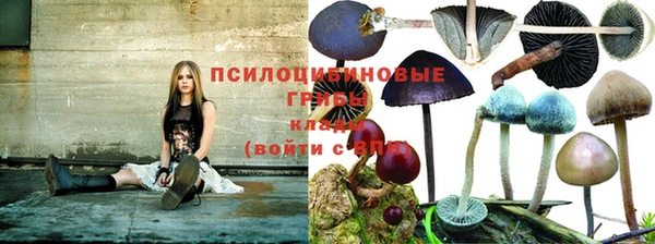 герыч Михайловск