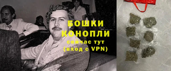 индика Михайлов