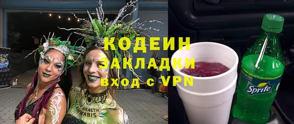 индика Михайлов