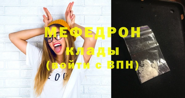 индика Михайлов