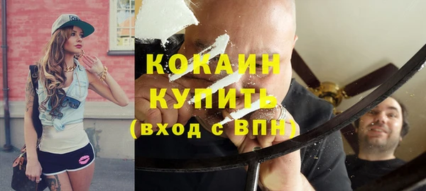 индика Михайлов