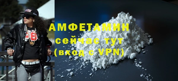 индика Михайлов
