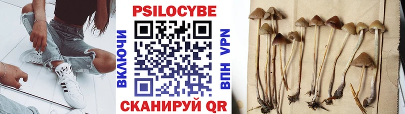Купить где  Красновишерск  Галлюциногенные грибы мухоморы 